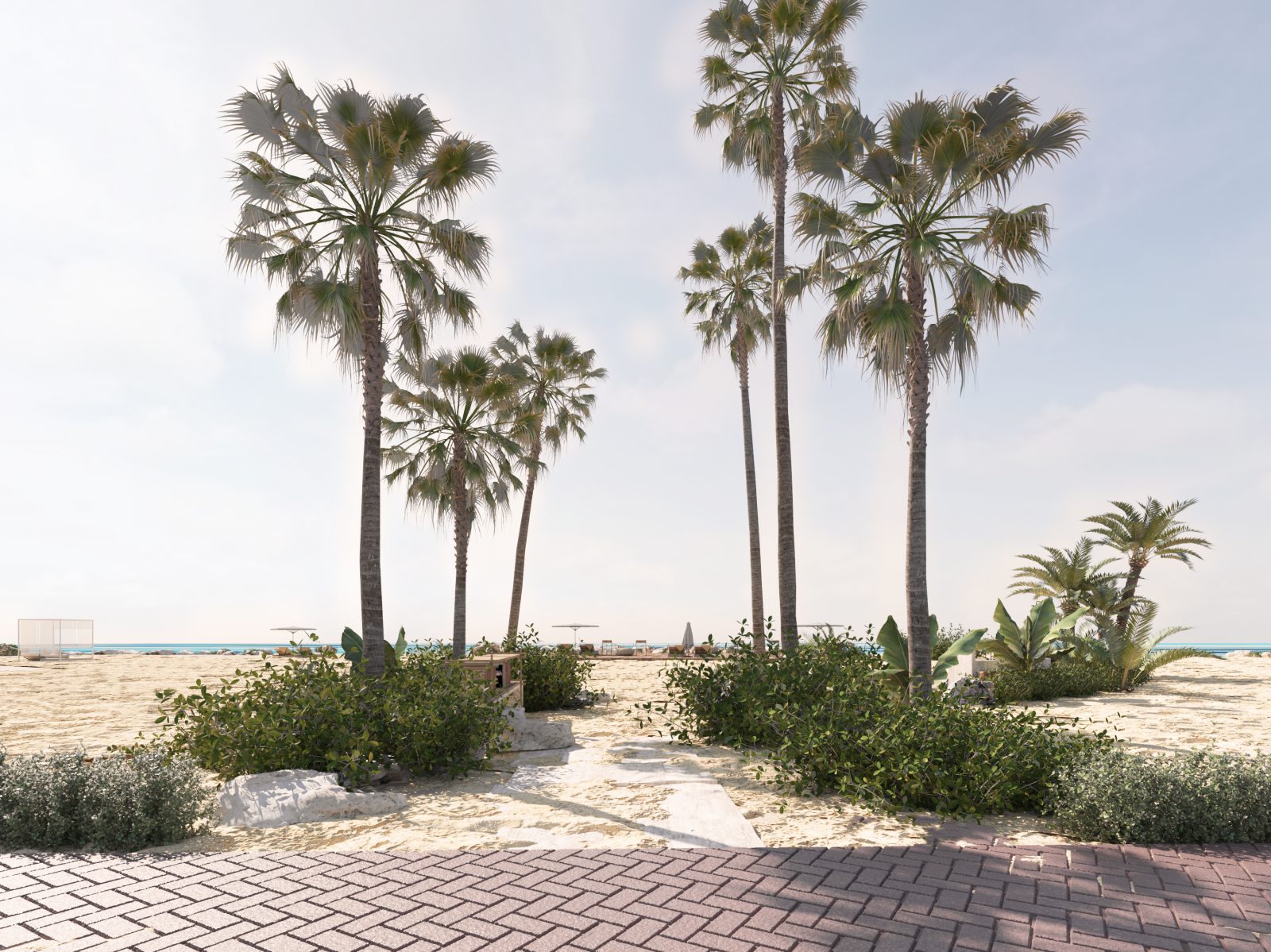 Nautilus Beach Soma BAY